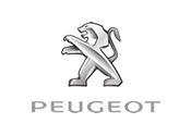 Diesel particulate filter PEUGEOT